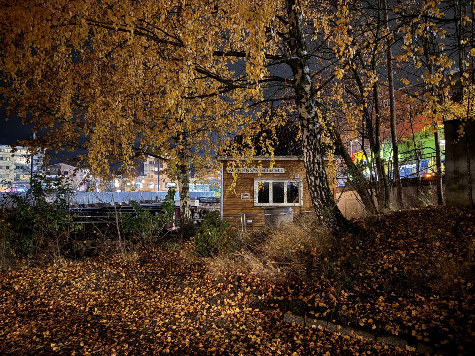 Bak noen trær står et gult hus